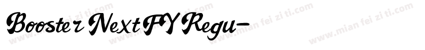 Booster Next FY Regu字体转换